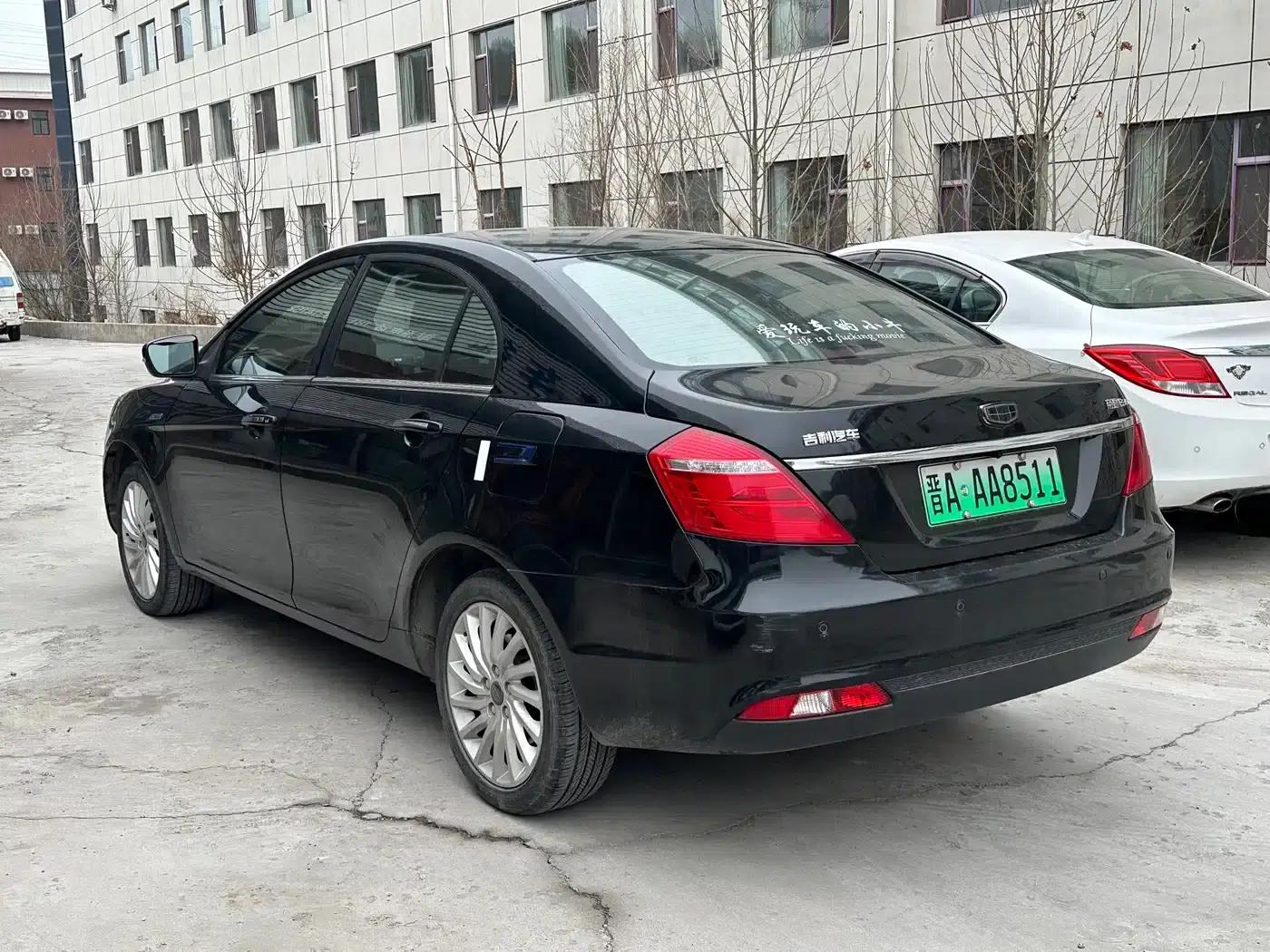 Geely Emgrand New Energy 2017 EV300 Elite — миниатюра 9