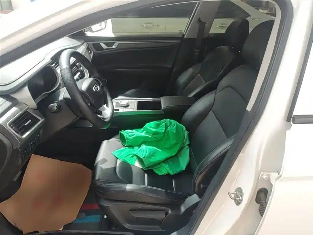 Geely Emgrand EV Pro 2021 Online Booking Edition — миниатюра 15