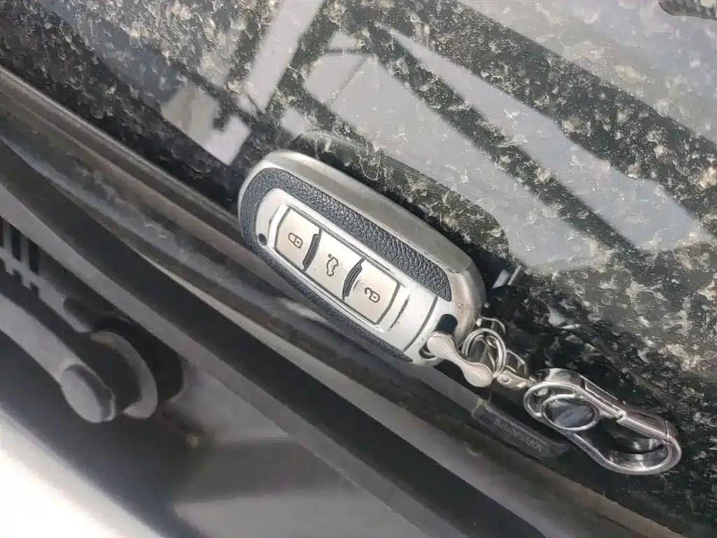 Geely Emgrand EV Pro 2021 Online Booking Edition — миниатюра 9