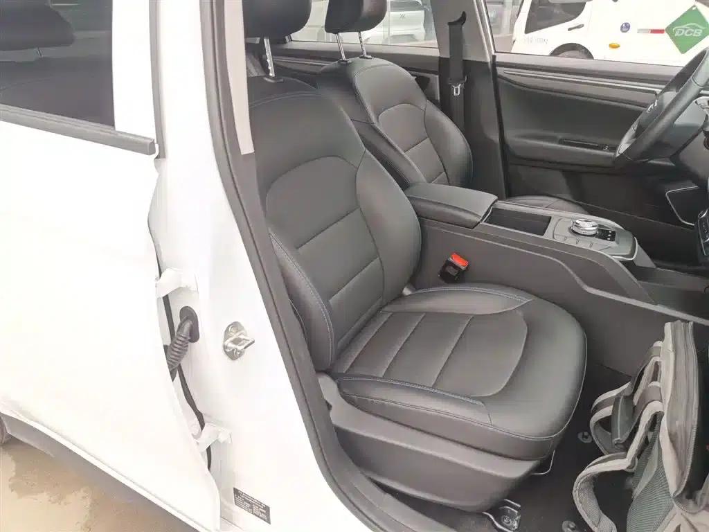 Geely Emgrand EV Pro 2022 Online Edition (Lithium Iron Phosphate) — миниатюра 20
