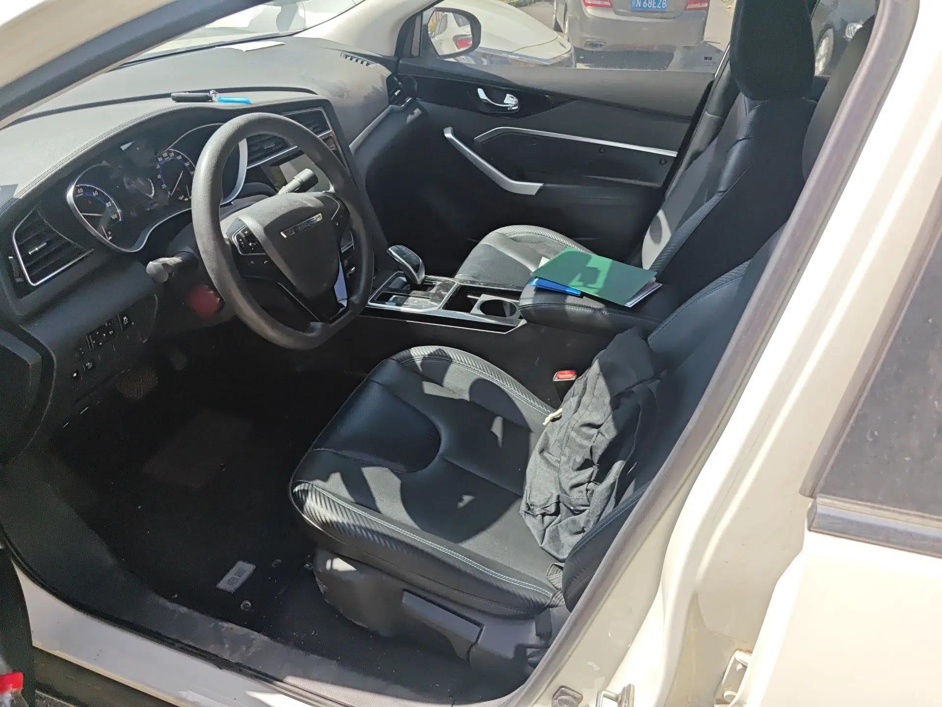 Venucia D60EV 2020 Standard Range T3 — миниатюра 16