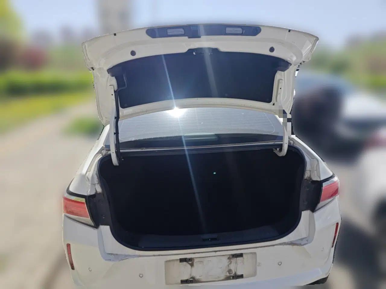 Venucia D60EV 2020 Standard Range T3 — миниатюра 20