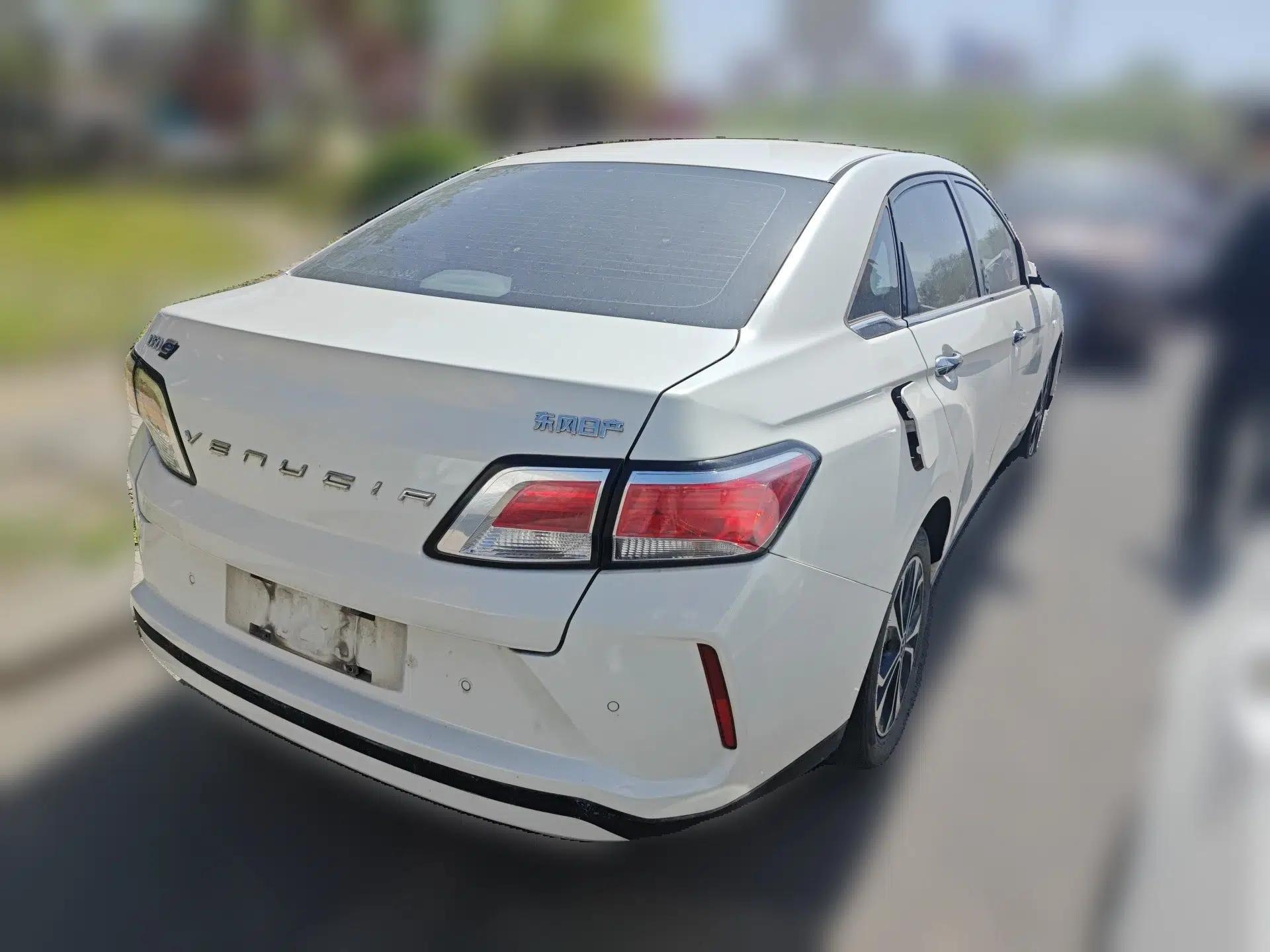 Venucia D60EV 2020 Standard Range T3 — миниатюра 6
