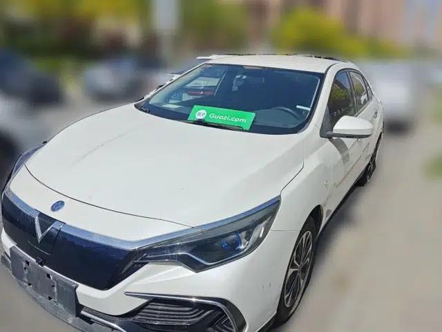 Venucia D60EV 2020 Standard Range T3