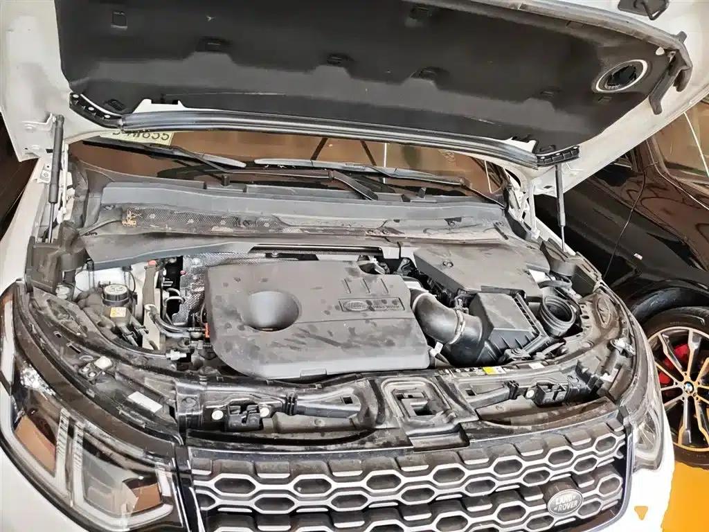 Discover Sporty New Energy 2021 P300e Performance Technology Edition — миниатюра 20