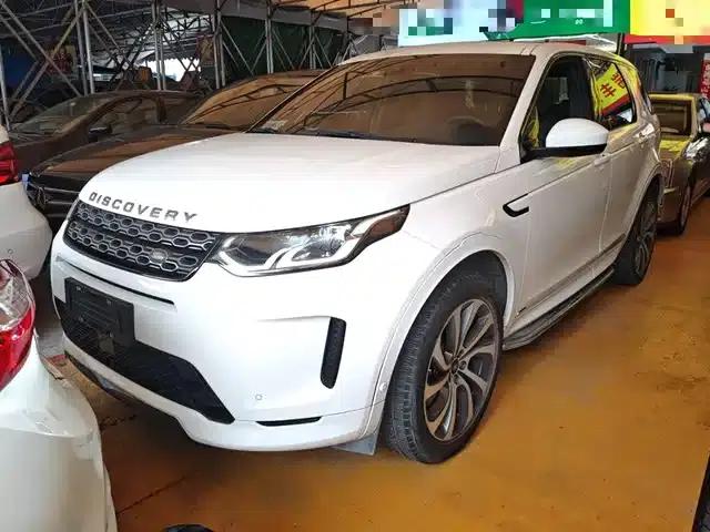 Discover Sporty New Energy 2021 P300e Performance Technology Edition