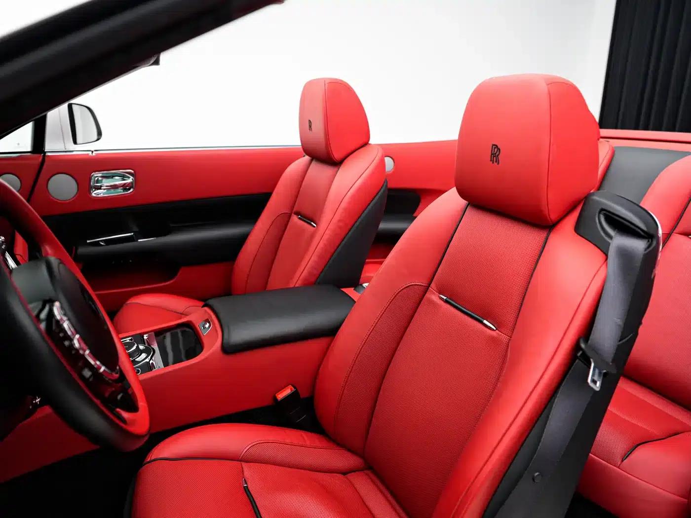 2018 Dawn 6.6T Standard Edition — миниатюра 12