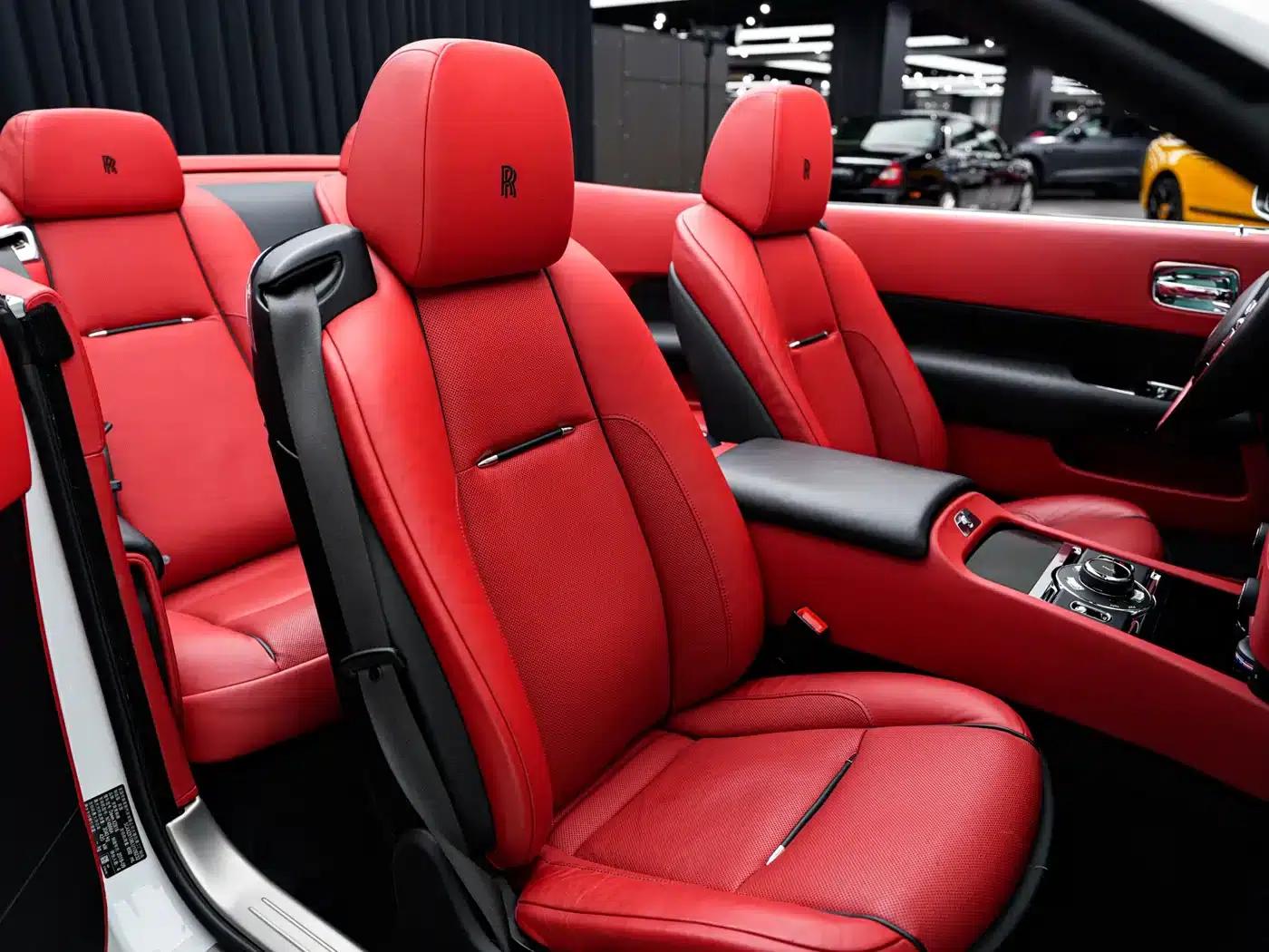 2018 Dawn 6.6T Standard Edition — миниатюра 15