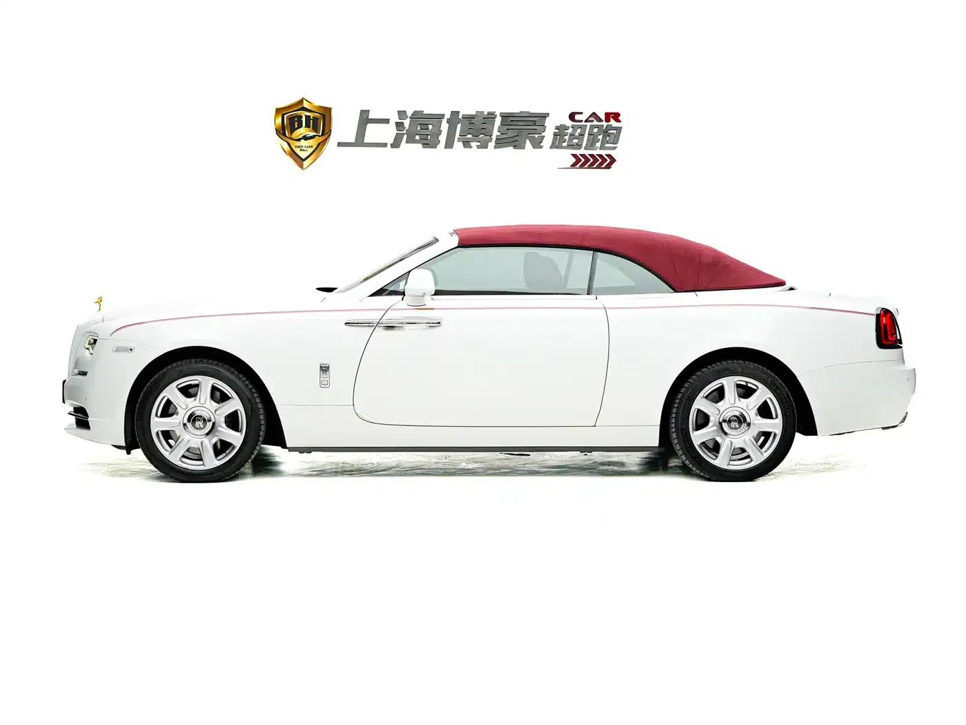 2018 Dawn 6.6T Standard Edition — миниатюра 7