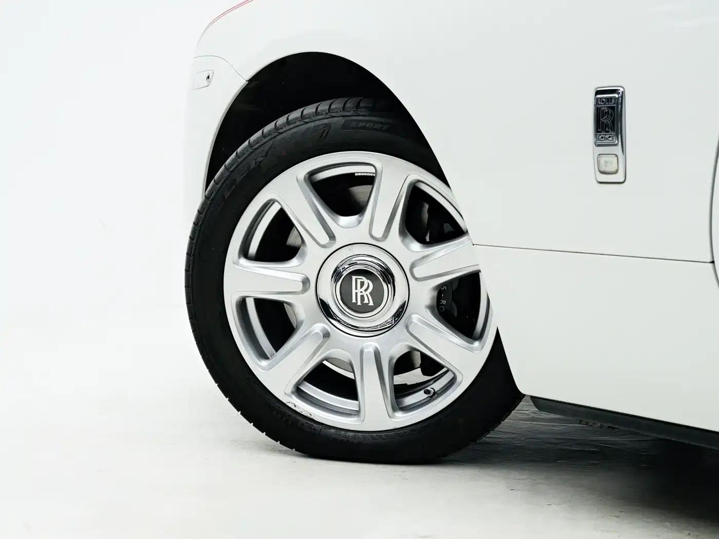 2018 Dawn 6.6T Standard Edition — миниатюра 10