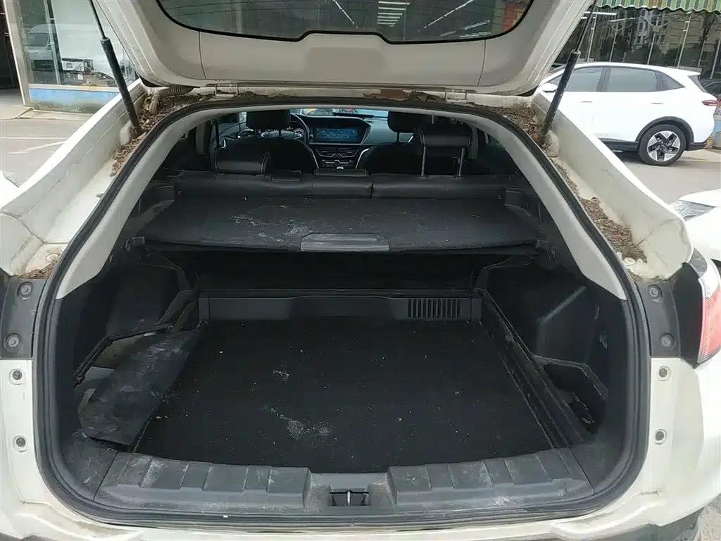 Venucia T90 2018 2.0L CVT Smart Connect Smart Edition (National VI Emission Standard) — миниатюра 19