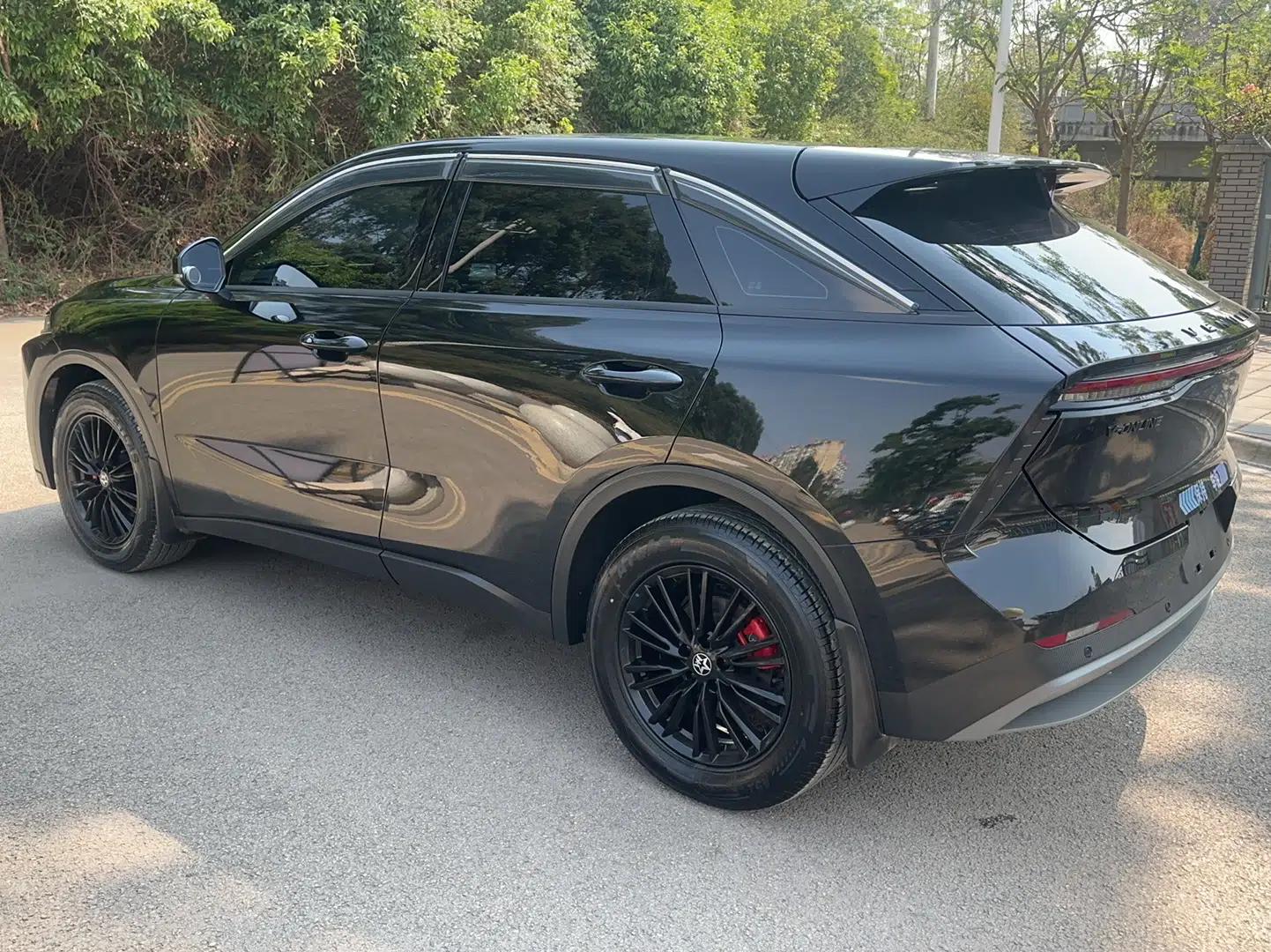 Venucia V 2022 260T Black Horse Edition · Idol — миниатюра 6