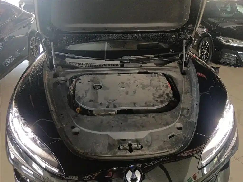 Denza Z9 2024 Model 1100km AWD Max Edition — миниатюра 10