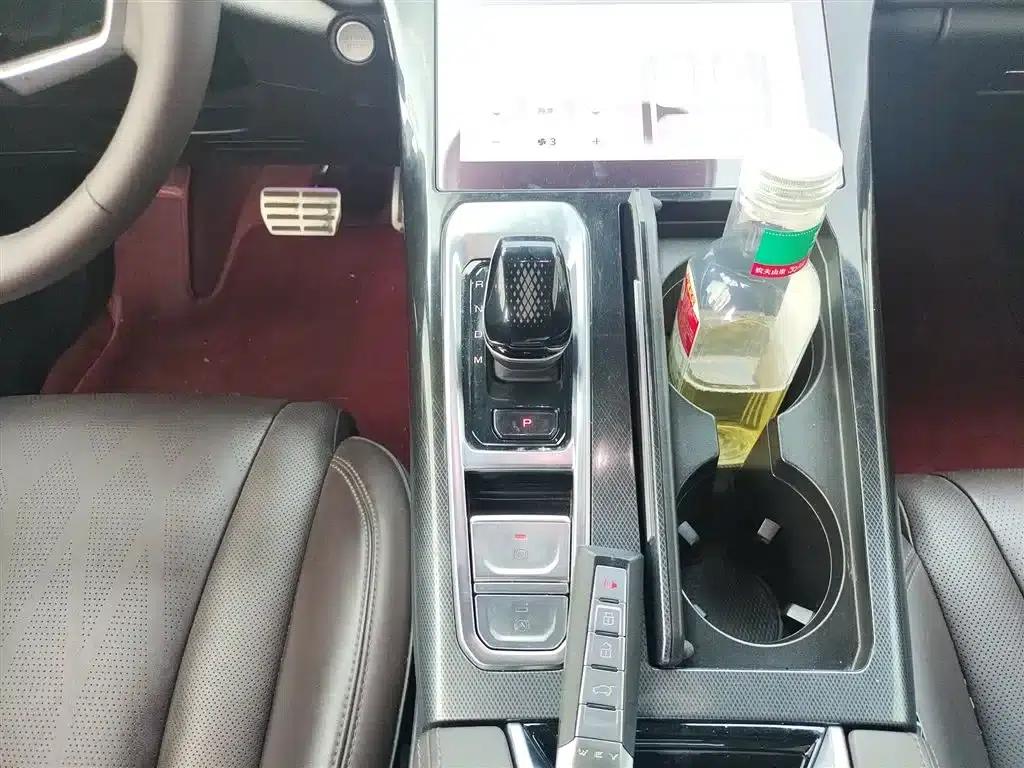 Wei brand Mocha 2021 2.0T 2WD Extra Rich Edition — миниатюра 13