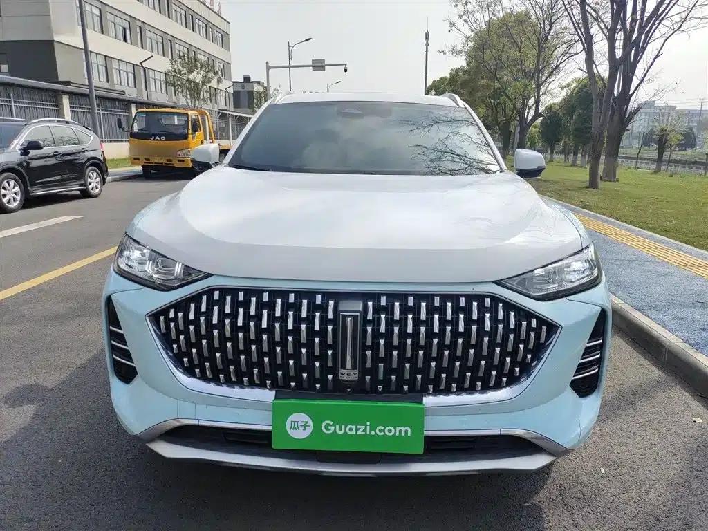 Wei brand Mocha 2021 2.0T 2WD Extra Rich Edition — миниатюра 3