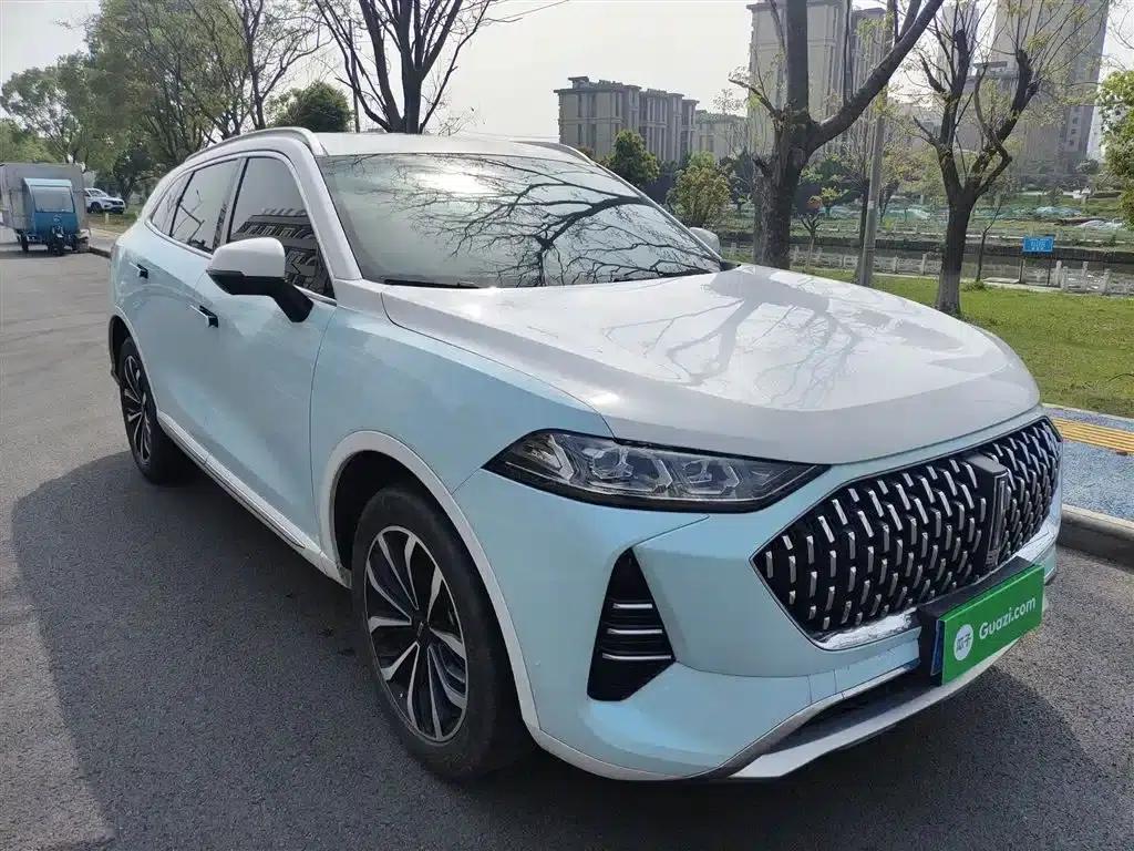 Wei brand Mocha 2021 2.0T 2WD Extra Rich Edition — миниатюра 4