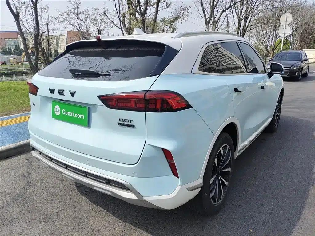Wei brand Mocha 2021 2.0T 2WD Extra Rich Edition — миниатюра 6