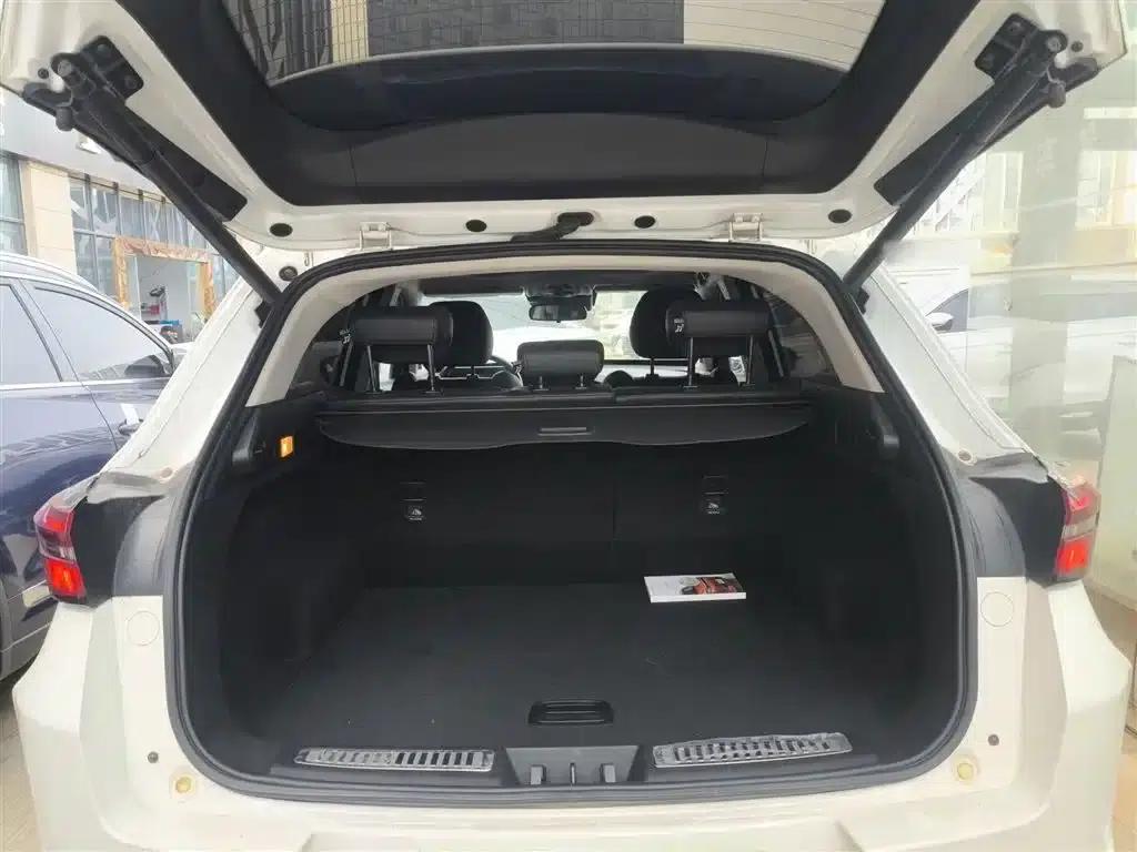 Exeed Chaser 2019 1.6T DCT Star Edition — миниатюра 10