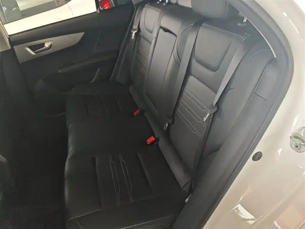 Qin 2019 1.5L Automatic Premium Edition — миниатюра 17