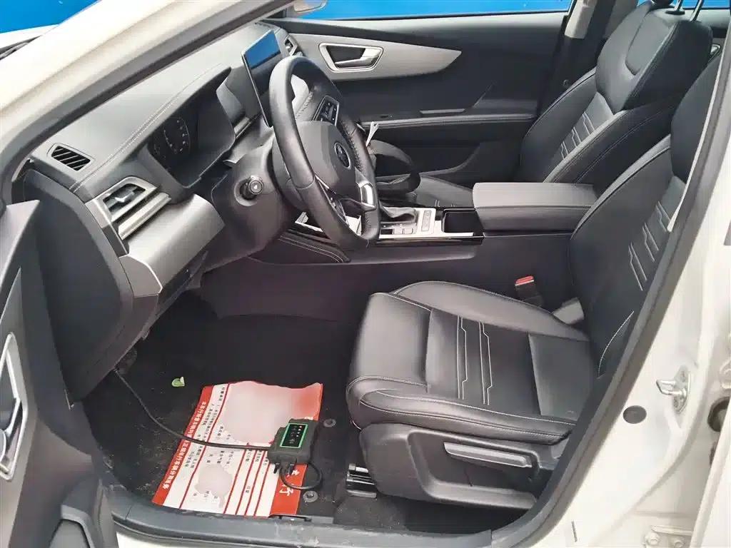 Qin 2019 1.5L Automatic Premium Edition — миниатюра 11