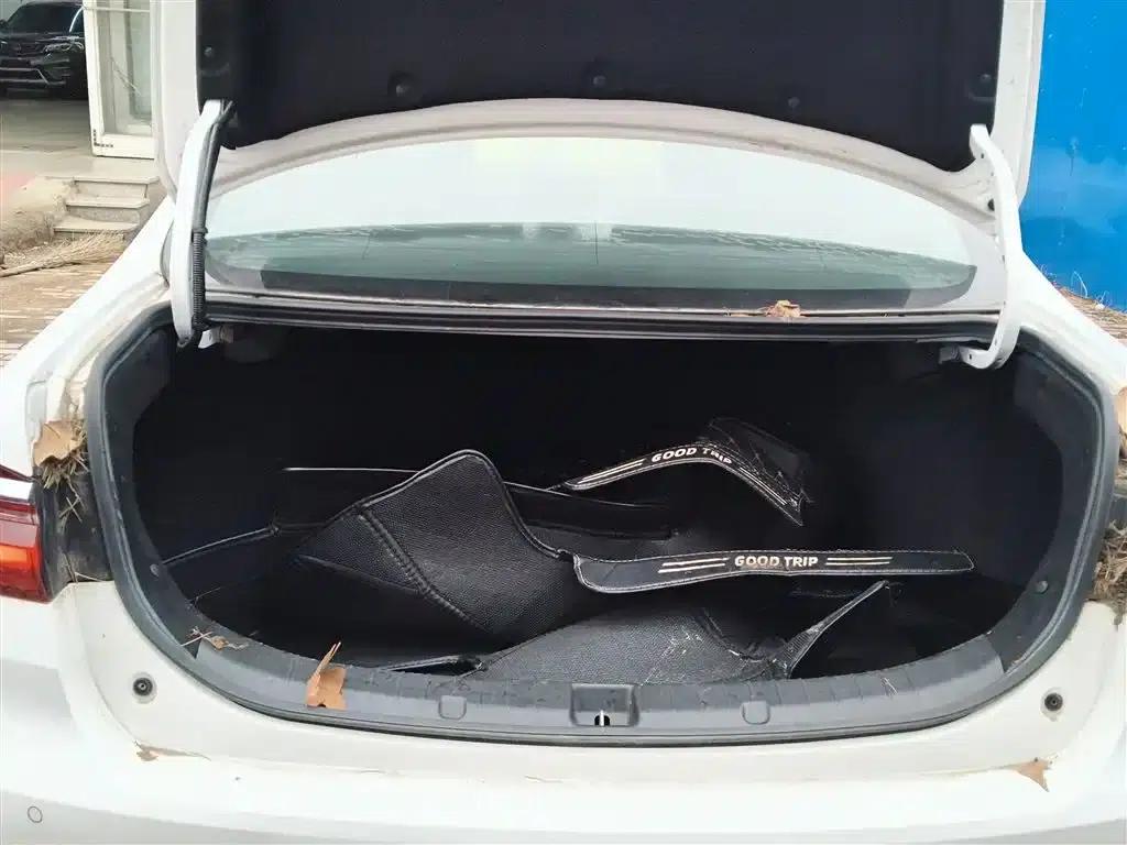 Qin 2019 1.5L Automatic Premium Edition — миниатюра 15