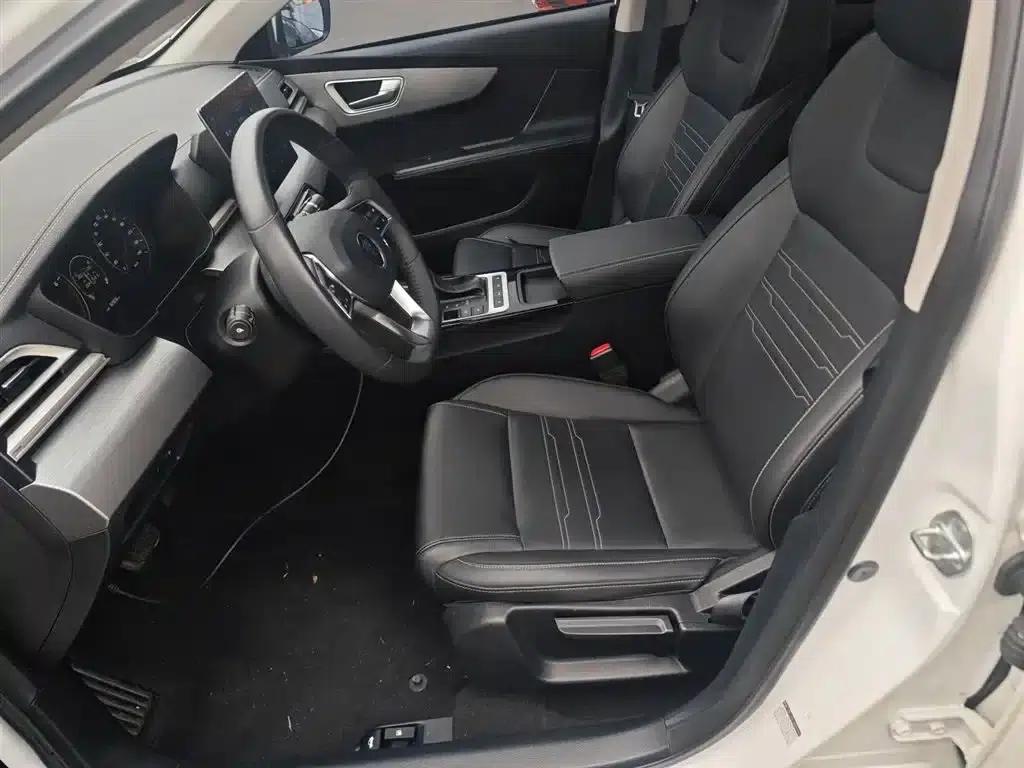 Qin 2019 1.5L Automatic Premium Edition — миниатюра 15