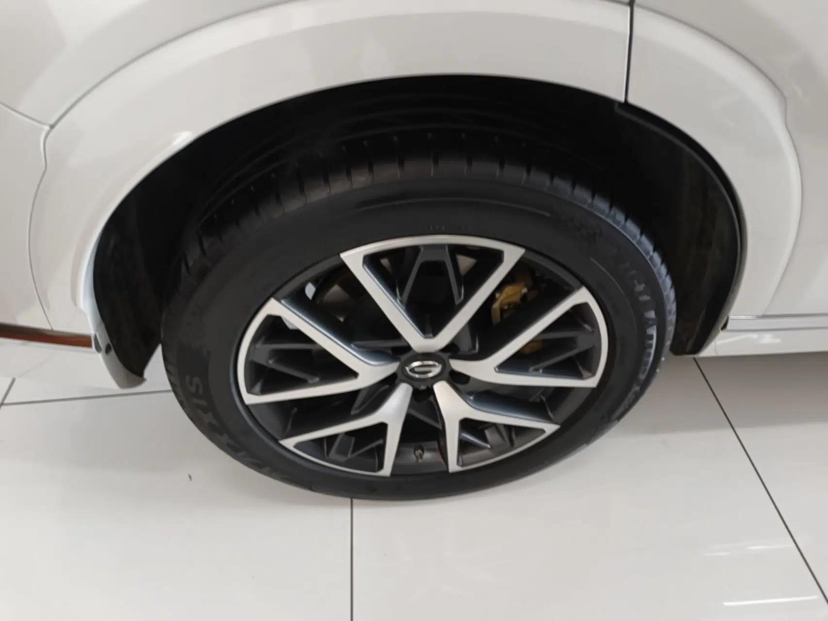 GAC Trumpchi ES9 2024 PHEV 143km Pro — миниатюра 10
