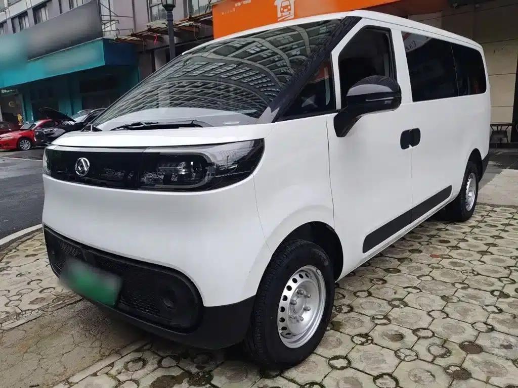 Dana V1 2025 Low-Roof Multi-functional Version 42kWh — миниатюра 2