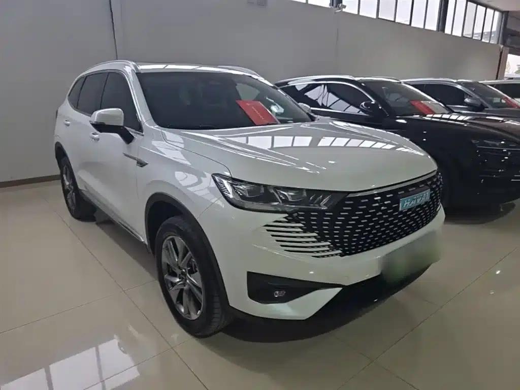 Haval H6 New Energy 2023 DHT-PHEV 110KM Comfort Edition — миниатюра 4