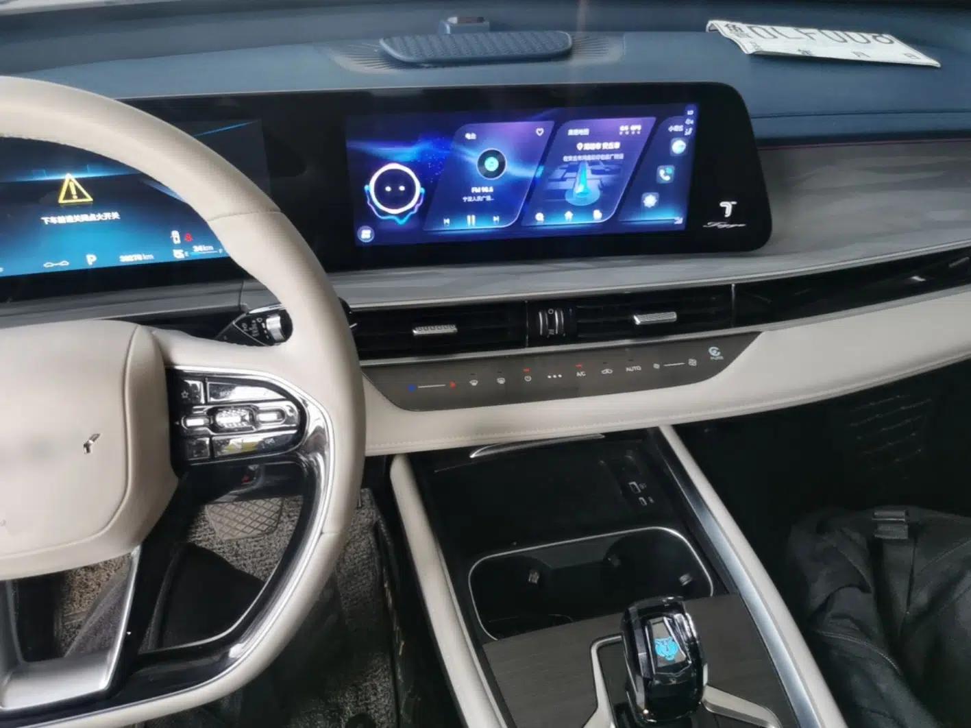 Chery Tiggo 7 PLUS New Energy 2023 1.5T Zhiyuan Trim — миниатюра 13