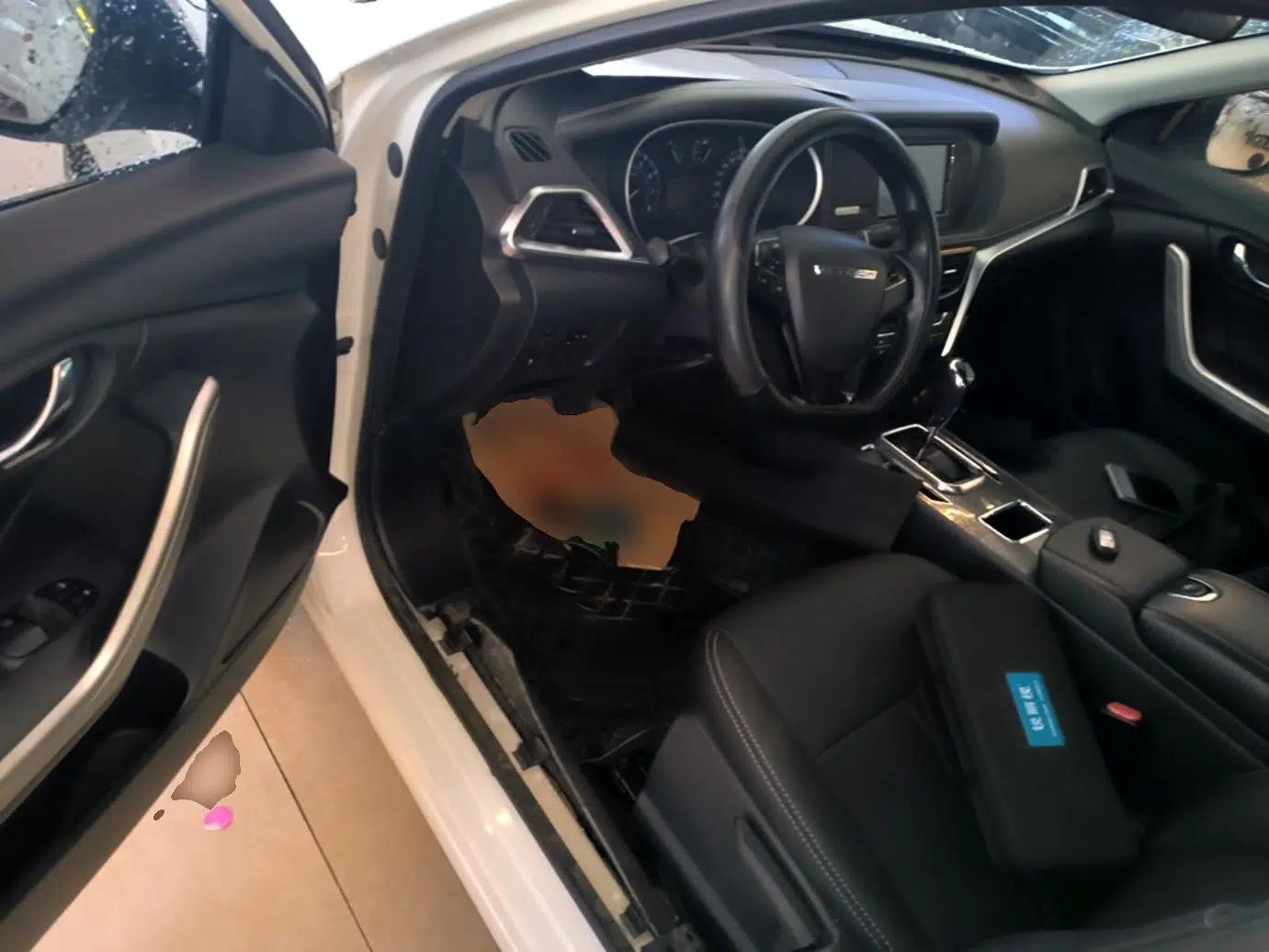 Venucia T90 2018 2.0L CVT Smart Connect Fashion Edition China V Standard — миниатюра 18