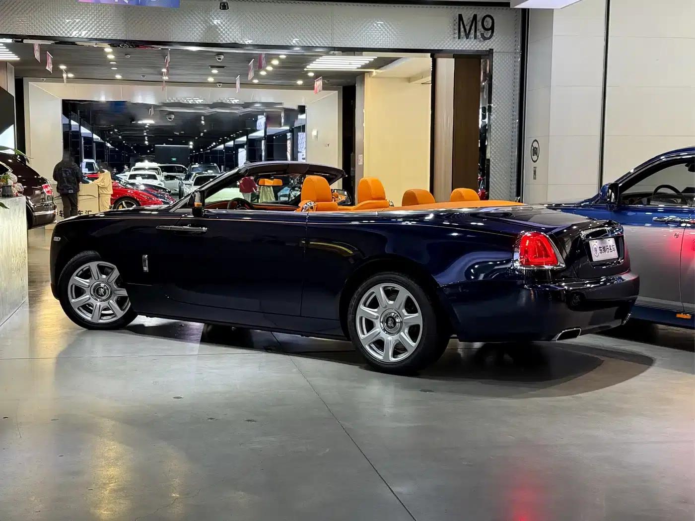 2018 Dawn 6.6T Standard Edition — миниатюра 4