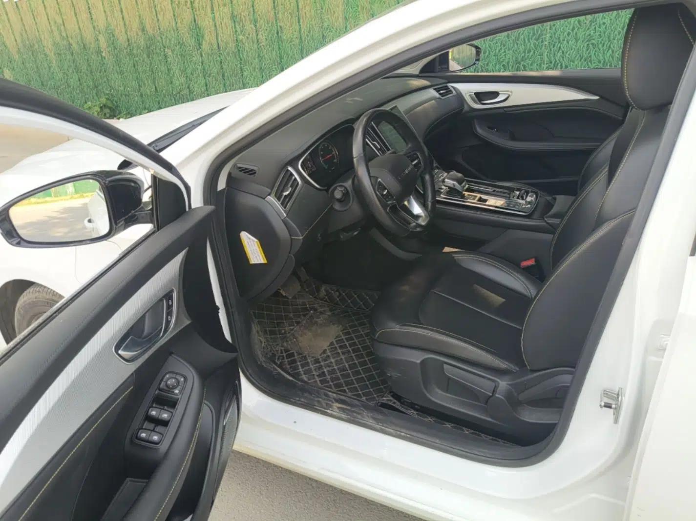 Roewe i6 MAX New Energy 2020 1.5T PHEV Sporty Cool Edition — миниатюра 18