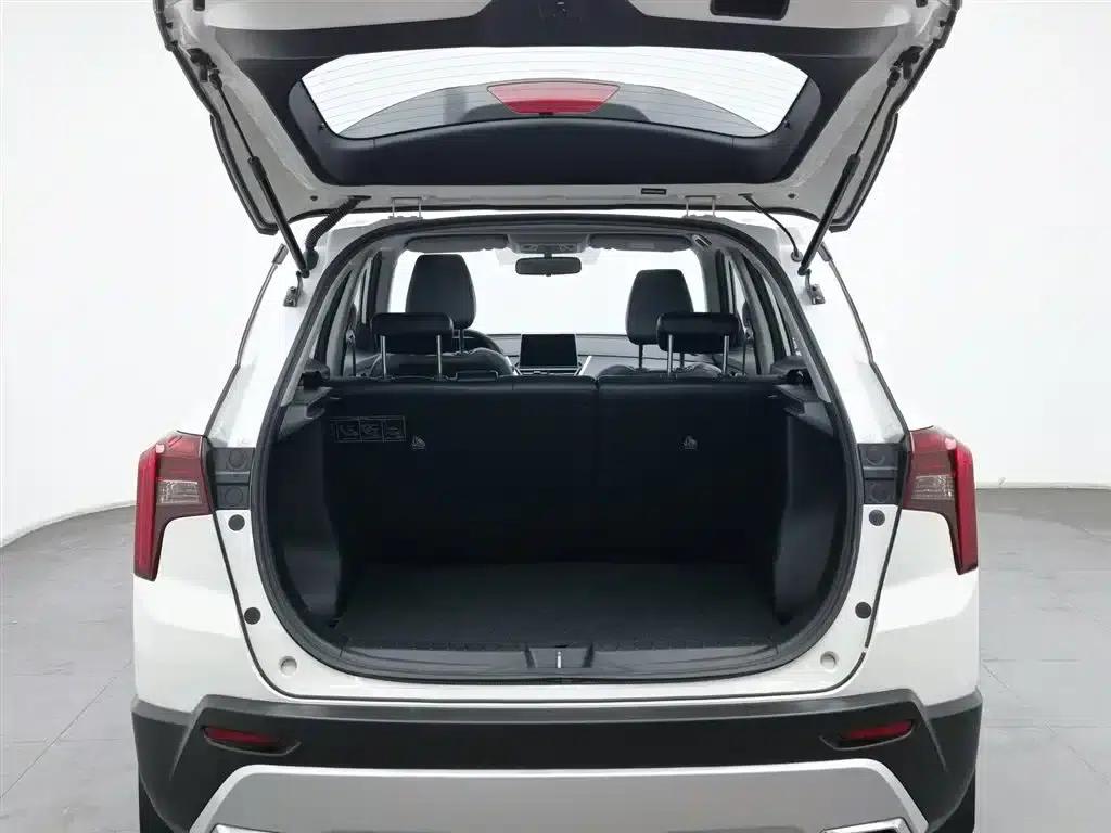 Venucia T60 2020 1.6L CVT Smart Edition (National VI Emission Standard) — миниатюра 16