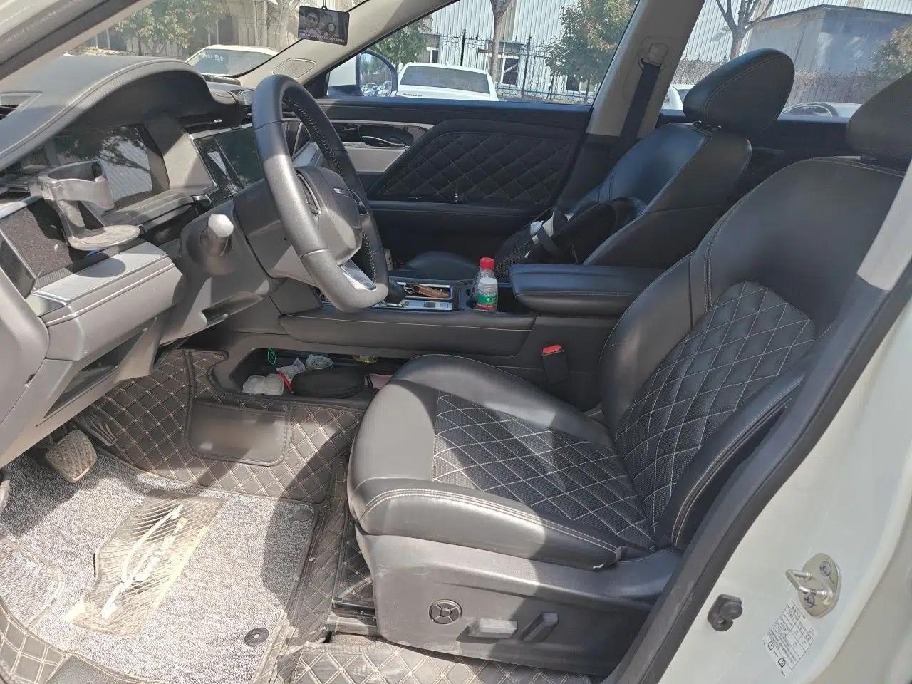 Venucia Star 2020 260T Automatic 48V Mild Hybrid Turbocharged Starry Edition — миниатюра 16