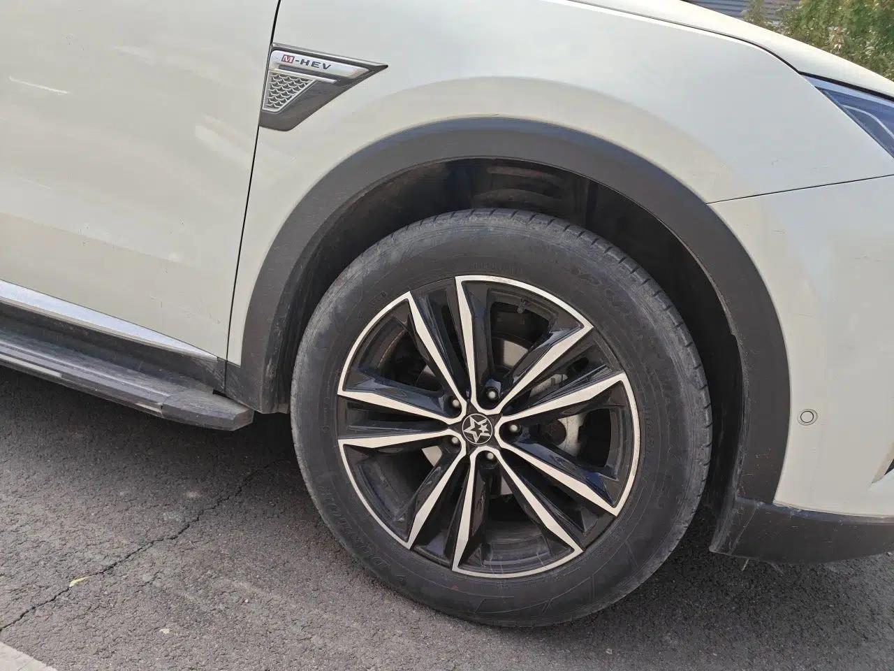 Venucia Star 2020 260T Automatic 48V Mild Hybrid Turbocharged Starry Edition — миниатюра 8