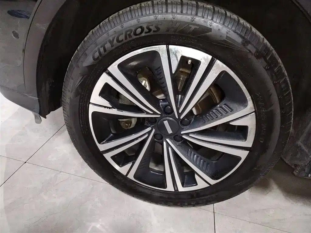 Wei Brand Latte DHT 2022 Model 1.5T DHT Medium Cup — миниатюра 23