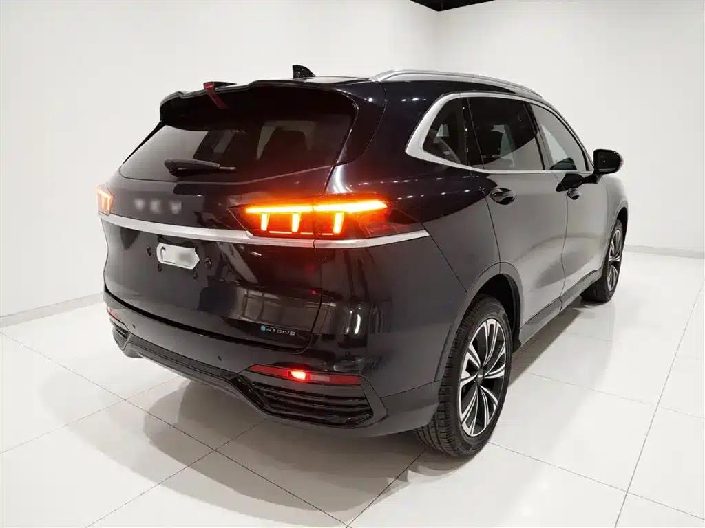 Wei Brand Latte DHT 2022 Model 1.5T DHT Medium Cup — миниатюра 7
