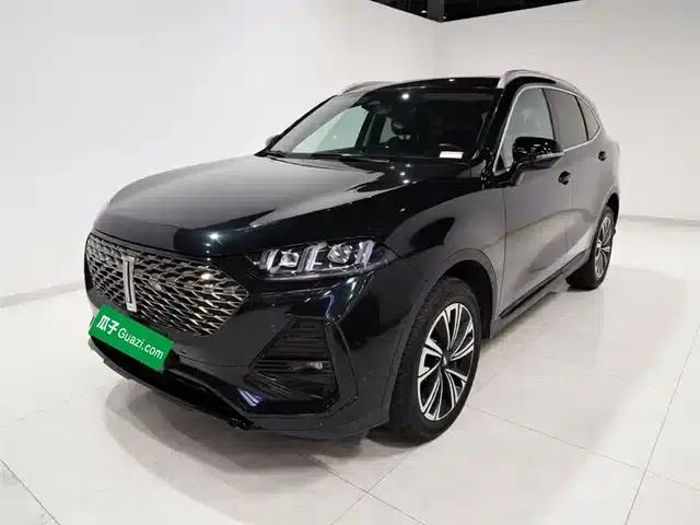 Wei Brand Latte DHT 2022 Model 1.5T DHT Medium Cup
