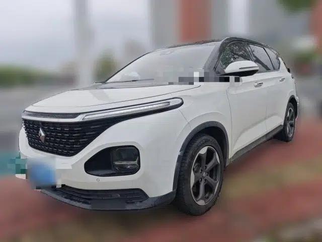 Baojun RM-5 2019 1.5T CVT 24-Hour Online Prestige Version 6 Seats