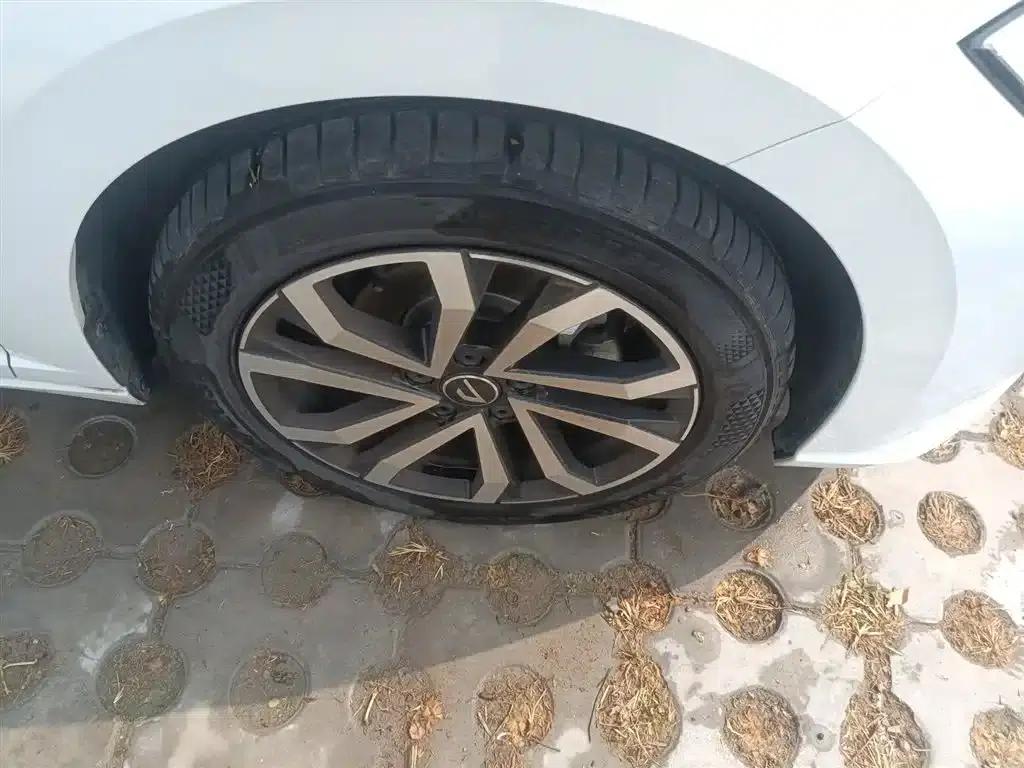 Jetta VA7 2025 1.4T Automatic First-Come, First-Served Edition — миниатюра 14