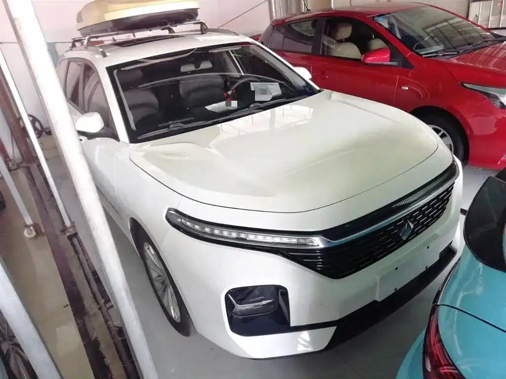 Baojun Valli 2021 1.5T Yili Ranch CVT Luxury Edition — миниатюра 25