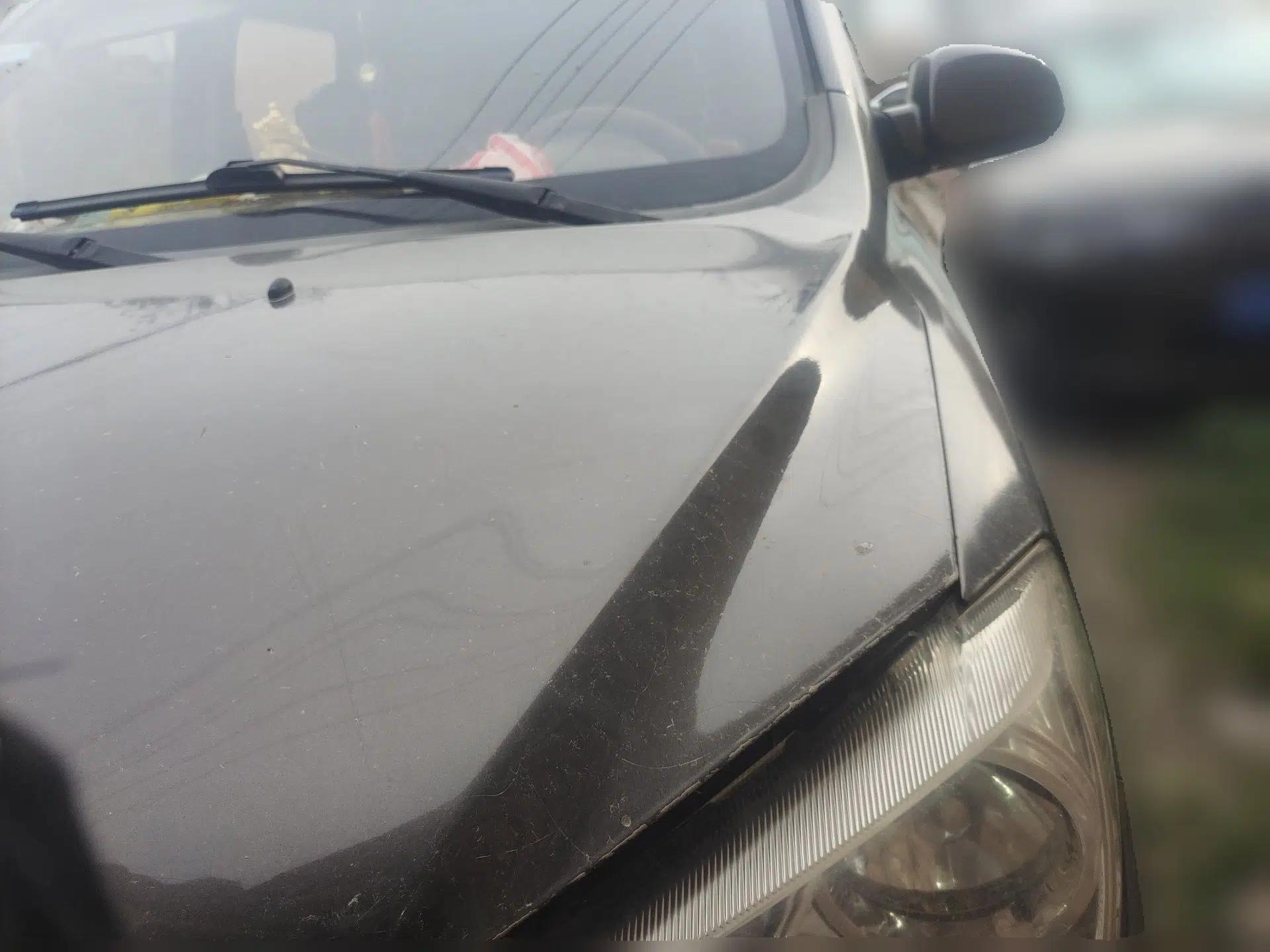 Dongfeng Fengon 330  — миниатюра 1