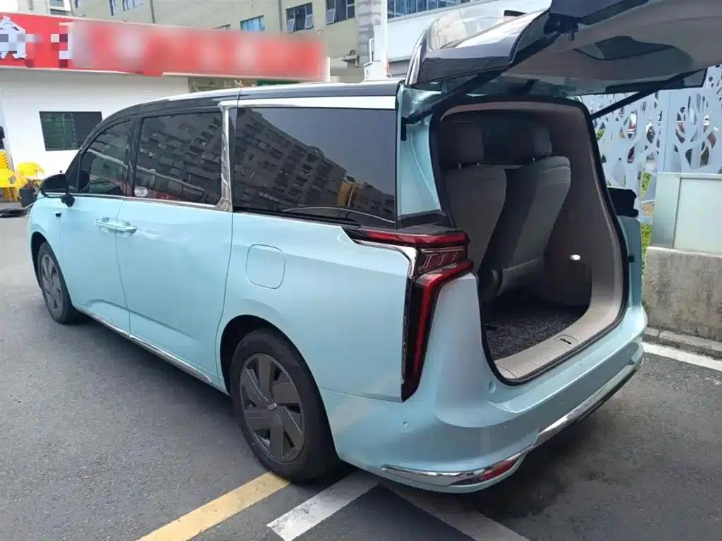 Everyone 9 2022 Long Range Mountain Six-Seater Edition — миниатюра 12