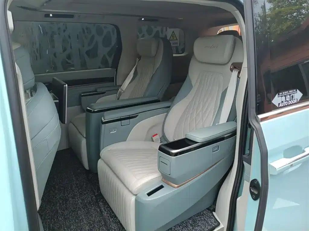Everyone 9 2022 Long Range Mountain Six-Seater Edition — миниатюра 19