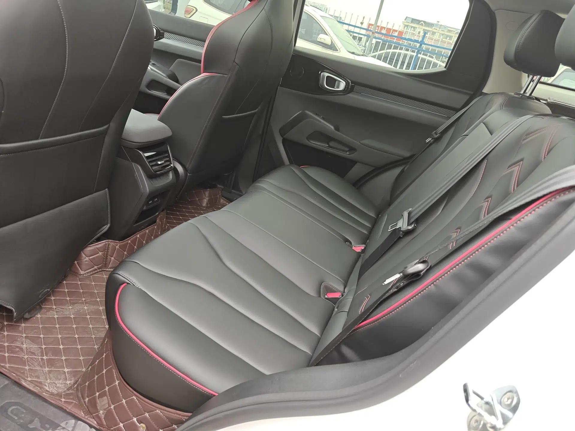 Haval X DOG 2022 1.5T DCT Two-Wheel Drive Trendy Edition — миниатюра 20