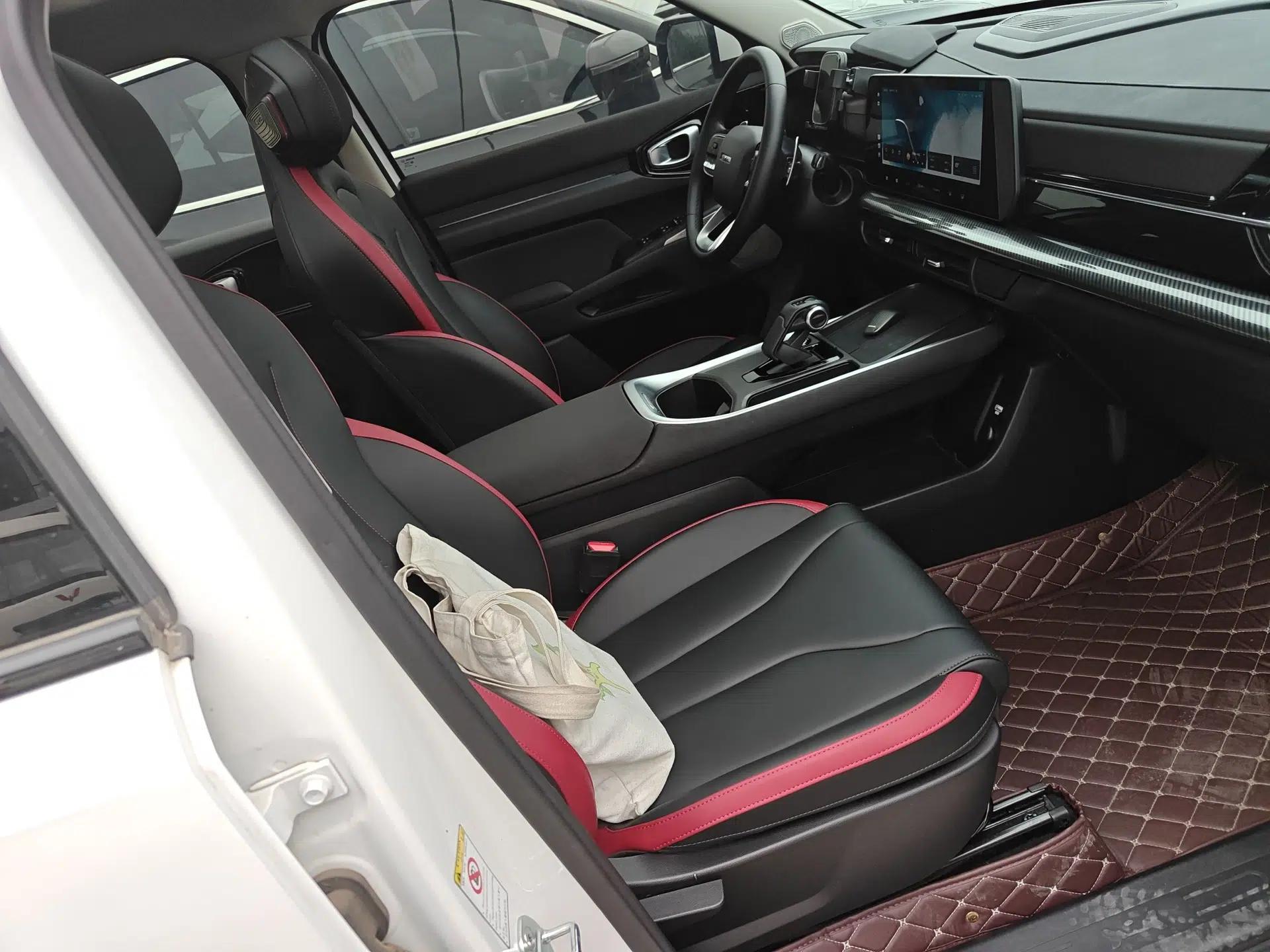 Haval X DOG 2022 1.5T DCT Two-Wheel Drive Trendy Edition — миниатюра 23