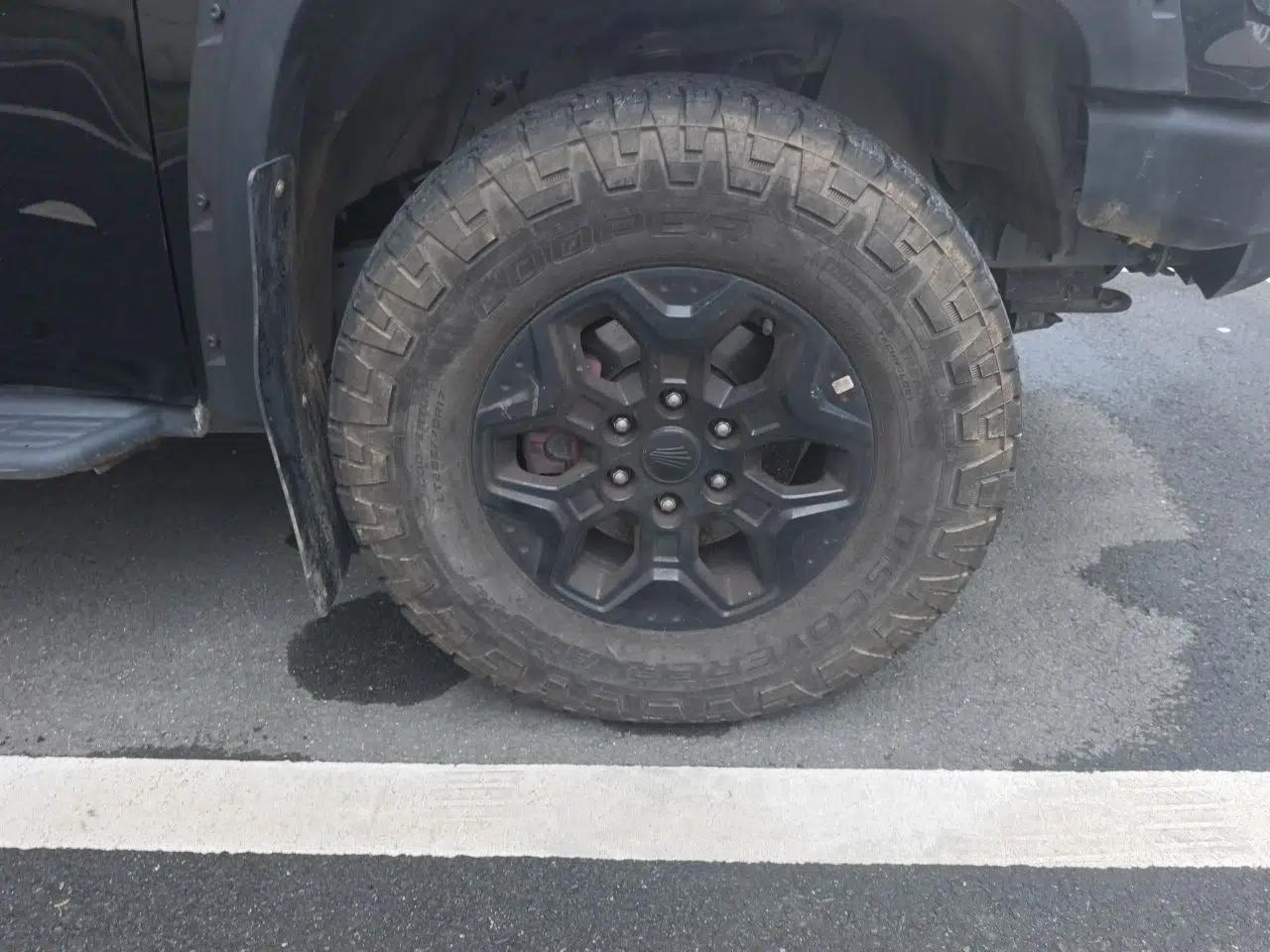 JMC DaDao 2023 Fly-Jiang 2.3T Diesel Automatic 4x4 Boundaryless Model — миниатюра 8