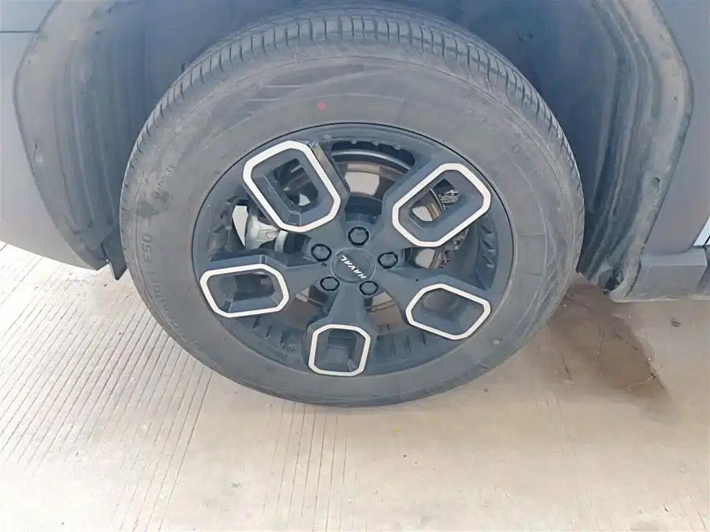 Haval Cool Dog 2022 1.5T DCT 2WD Trendy Edition — миниатюра 23