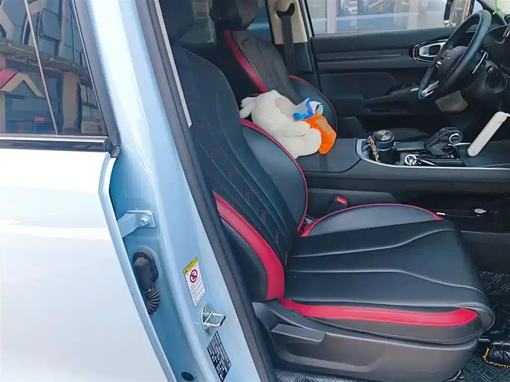 Haval Cool Dog 2022 1.5T DCT 2WD Trendy Edition — миниатюра 25